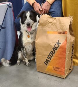 Kate a border collie dog sitting by a large sack of Fastrack