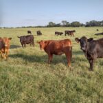 IMG_20170831_1816298 (1)