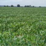 IMG_20170902_1311265