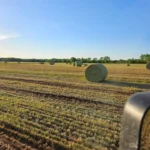 IMG_20230502_191821_497