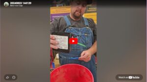 Dike demo