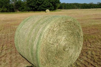 large round bale of hay in a field